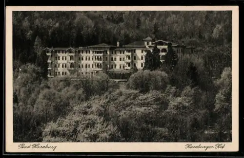 AK Bad Harzburg, Blick zum Hotel Harzburger Hof