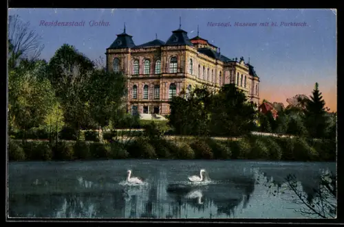 AK Gotha, Uferpartie mit Schwänen und Blick auf Museum