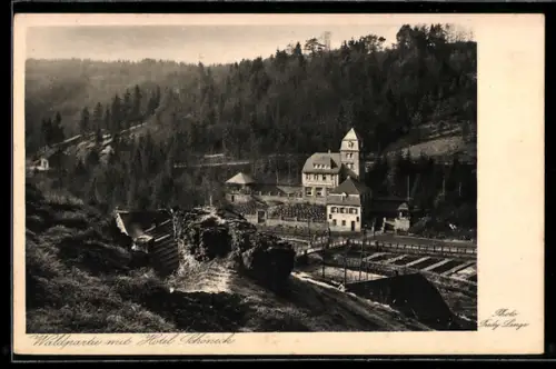 AK Schönecken /Eifel, Waldpartie mit Hotel Schöneck