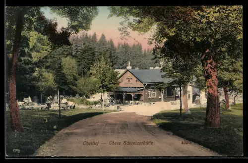 AK Oberhof / Thür., Strasse zum Gasthaus Obere Schweizerhütte