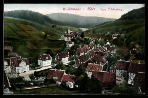 AK Wildemann i. Harz, Blick vom Schöneberg auf den Ort