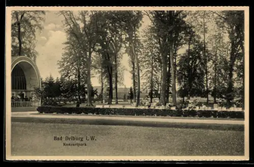 AK Bad Driburg i. W., Konzertpark mit Konzertmuschel