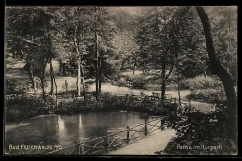 AK Bad Freienwalde a. O., Partie im Kurpark, Teich