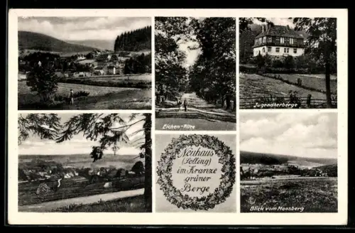 AK Neuhaus /Solling, Jugendherberge, Eichen-Allee, Blick vom Moosberg
