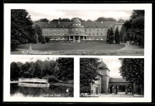 AK Bad Hermannsborn, Kurhaus, Teich im Park, Eingang zum Kurpark