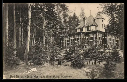 AK Bad Elster, Königl. Moor- und Mineralbad, Waldquelle