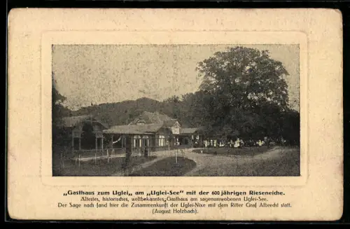 AK Uglei, Gasthaus zum Uglei A. Holzbach, Uglei-See, Rieseneiche