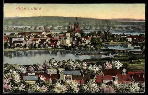 AK Werder a. d. Havel, Ortsansicht mit Kirche und Windmühle, Baumblüte