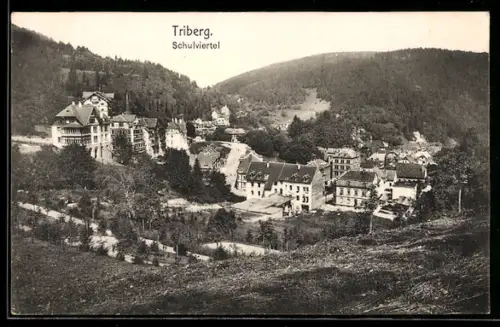 AK Triberg, Schulviertel aus der Vogelschau