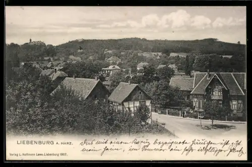 AK Liebenburg a. Harz, Ortsansicht mit Strasse