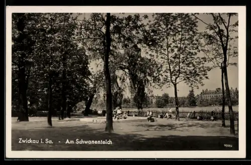 AK Zwickau i. Sa., Am Schwanenteich
