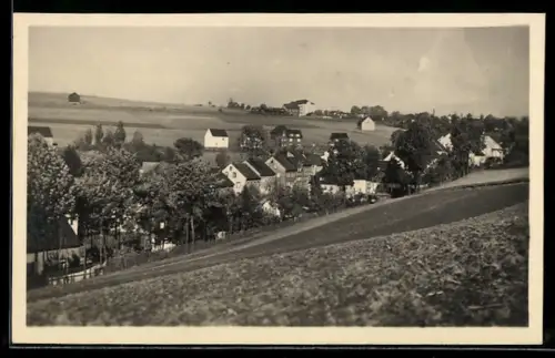 AK Elterlein i. Erzgeb., Ortsansicht mit Feldern