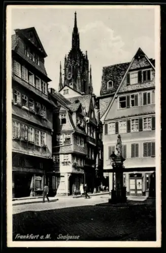 AK Alt-Frankfurt, Saalgasse mit Denkmal