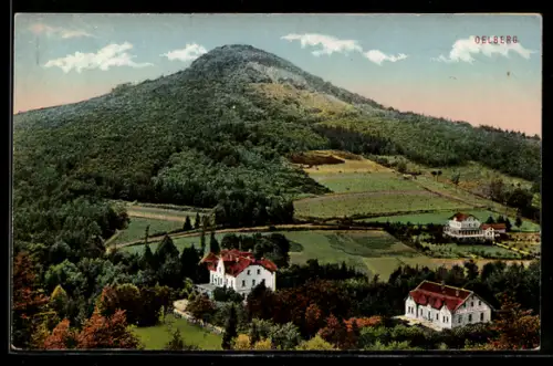 AK Königswinter, Hotel Sophienhof mit Wäldern und Oelberg