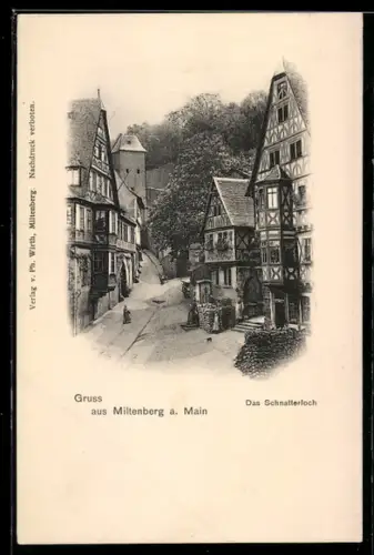 AK Miltenberg, Partie am Schnatterloch