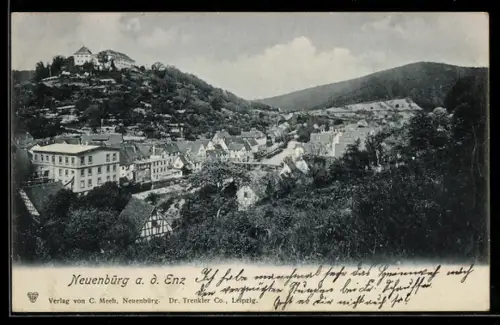 AK Neuenbürg / Enz, Ortsansicht
