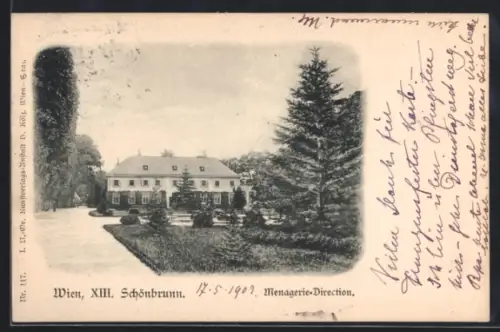 AK Wien, Schönbrunn, Menagerie-Direction