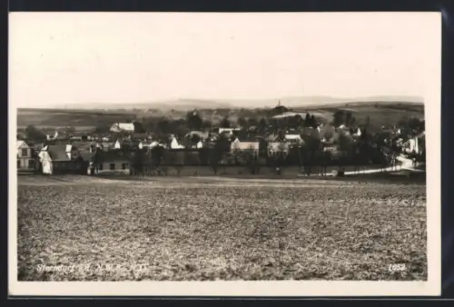 AK Sierndorf a. d. N. W. B., Teilansicht mit Strassenpartie