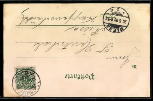 Lithographie Rochlitz, Friedrich-August-Turm, Schloss, Markt mit Rathaus