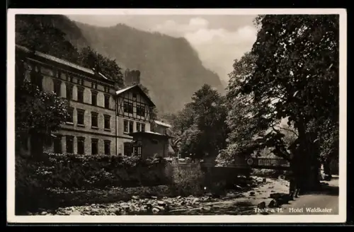 AK Thale a. H., Hotel Waldkater am Fluss