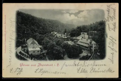 Mondschein-AK Alexisbad i. H., Ortsansicht im Tal