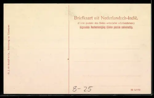 AK Bauern auf einem Reisfeld