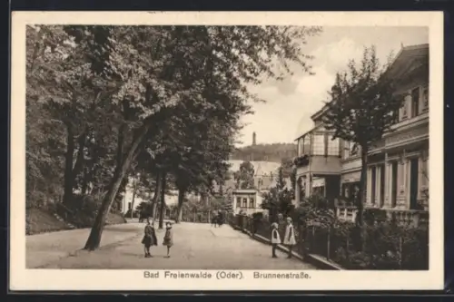 AK Bad Freienwalde /Oder, Brunnenstrasse