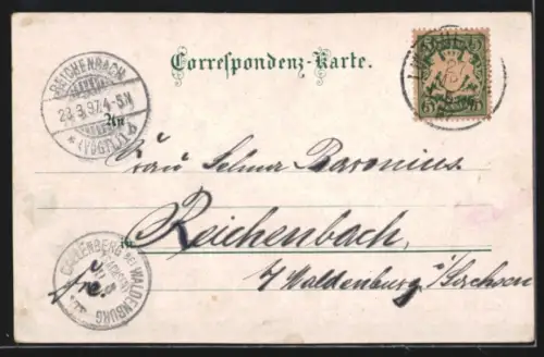 Lithographie Radolfzell /Bodensee, Übersichtskarte, Rheinfall