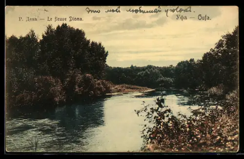 AK Dioma, Flusspartie mit bewaldeten Ufern