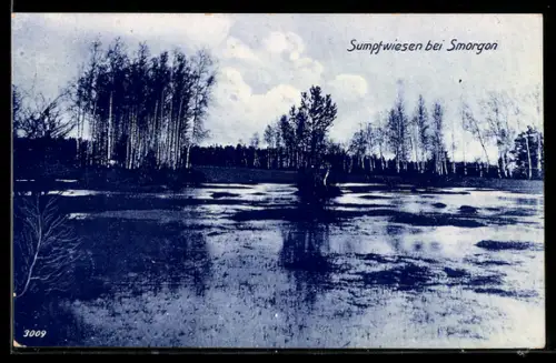 AK Smorgon, Sumpfwiesen mit Birkenbewuchs