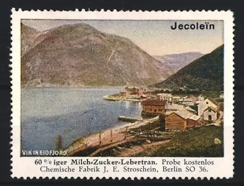 Reklamemarke Berlin, Chem. Fabrik J.E. Stroschein, Jecolein, Kräftigungspräparat, Lebertran, Fjordlandschaft