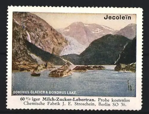 Reklamemarke Berlin, Chem. Fabrik J.E. Stroschein, Jecolein, Kräftigungspräparat, Lebertran, Bondhus Glacier