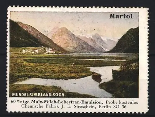 Reklamemarke Berlin, Chem. Fabrik J.E. Stroschein, Martol, Kräftigungspräparat, Lebertran, Landschaftsansicht