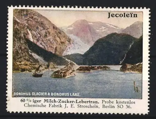 Reklamemarke Berlin, Chem. Fabrik J.E. Stroschein, Jecolein, Kräftigungspräparat, Lebertran, Gletscher und See