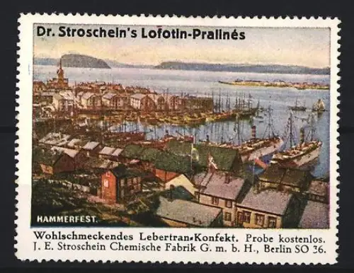 Reklamemarke Berlin, Chem. Fabrik J.E. Stroschein, Jecolein, Kräftigungspräparat, Lebertran, Hafenansicht