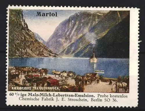 Reklamemarke Berlin, Chem. Fabrik J.E. Stroschein, Martol, Kräftigungspräparat, Lebertran, Landschaft mit Fjord