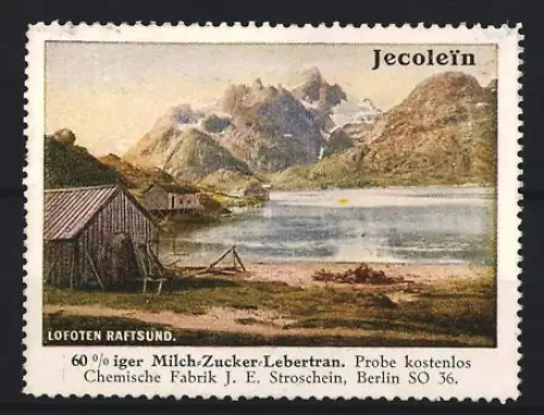 Reklamemarke Berlin, Chem. Fabrik J.E. Stroschein, Jecolein, Kräftigungspräparat, Lebertran, Landschaft mit Bergen