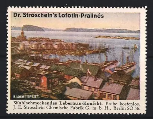 Reklamemarke Berlin, Chem. Fabrik J.E. Stroschein, Lofotin-Pralinés, Kräftigungspräparat, Lebertran, Hafenansicht