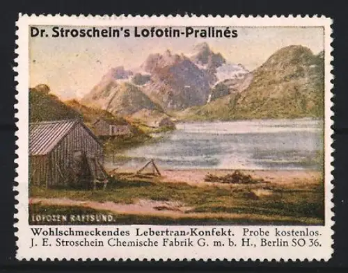 Reklamemarke Berlin, Chem. Fabrik J.E. Stroschein, Lofotin-Praline, Kräftigungspräparat, Lebertran, Landschaft