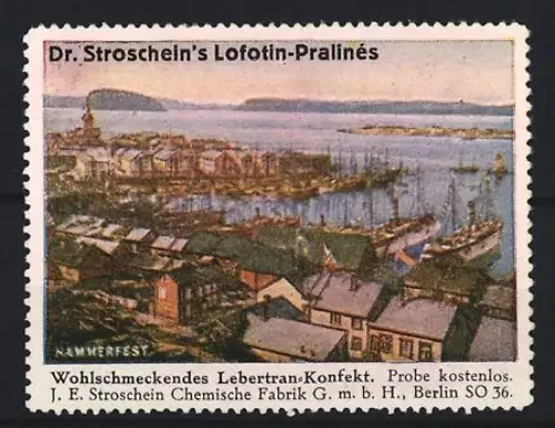 Reklamemarke Berlin, Chem. Fabrik J.E. Stroschein, Lofotin, Kräftigungspräparat, Lebertran, Hafenansicht von Werfest