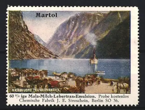 Reklamemarke Berlin, Chem. Fabrik J.E. Stroschein, Martol, Kräftigungspräparat, Lebertran, Fjordlandschaft