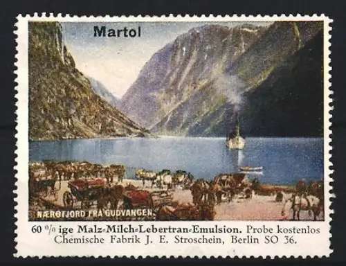 Reklamemarke Berlin, Chem. Fabrik J.E. Stroschein, Martol, Kräftigungspräparat, Lebertran, Nærøfjord-Szene