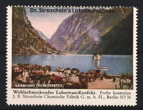 Reklamemarke Berlin, Chem. Fabrik J.E. Stroschein, Lofotin-Praline, Kräftigungspräparat, Lebertran, Nærøfjord