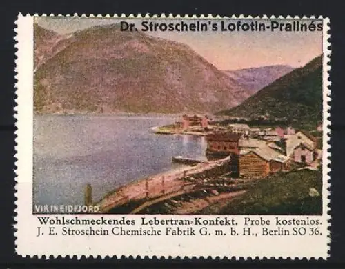 Reklamemarke Berlin, Chem. Fabrik J.E. Stroschein, Lofotin-Praline, Kräftigungspräparat, Lebertran, Fjordlandschaft