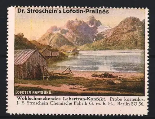 Reklamemarke Berlin, Chem. Fabrik J.E. Stroschein, Lofotin-Praline, Kräftigungspräparat, Lebertran, Landschaft Raftsund