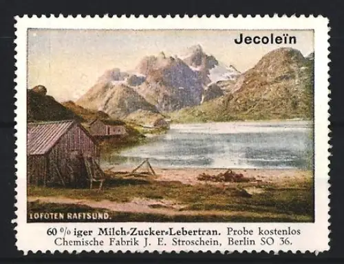 Reklamemarke Berlin, Chem. Fabrik J.E. Stroschein, Jecolein, Kräftigungspräparat, Lebertran, Landschaft