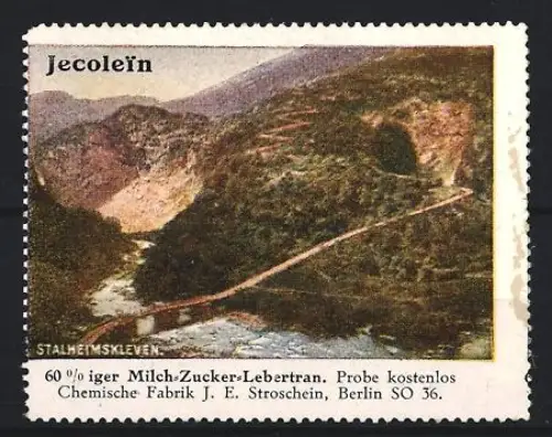 Reklamemarke Berlin, Chem. Fabrik J.E. Stroschein, Jecolein, Kräftigungspräparat, Lebertran, Landschaftsansicht