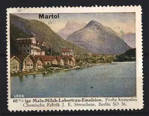 Reklamemarke Berlin, Chem. Fabrik J.E. Stroschein, Martol, Kräftigungspräparat, Lebertran, Berglandschaft
