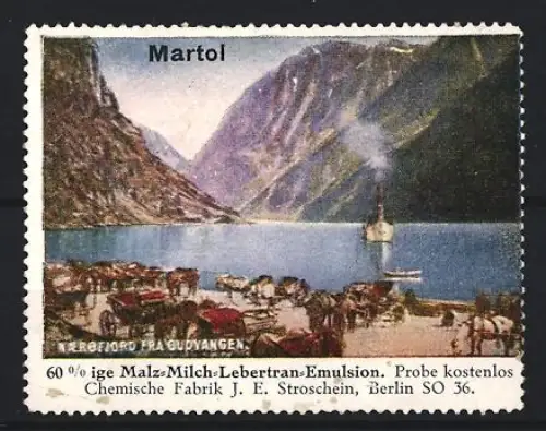Reklamemarke Berlin, Chem. Fabrik J.E. Stroschein, Martol, Kräftigungspräparat, Lebertran, Fjordlandschaft mit Dampfer