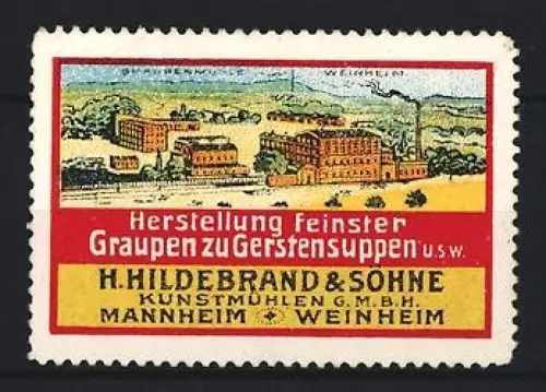 Reklamemarke Mannheim & Weinheim, H. Hildebrand & Söhne, Graupen zu Gerstensuppen, Fabrikansicht